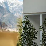 Avista Terme 公寓 梅拉诺